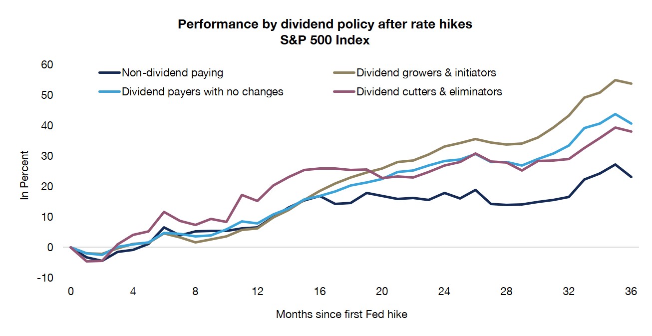 Performance by dividend policy after rate hikes S&P 500 Index 